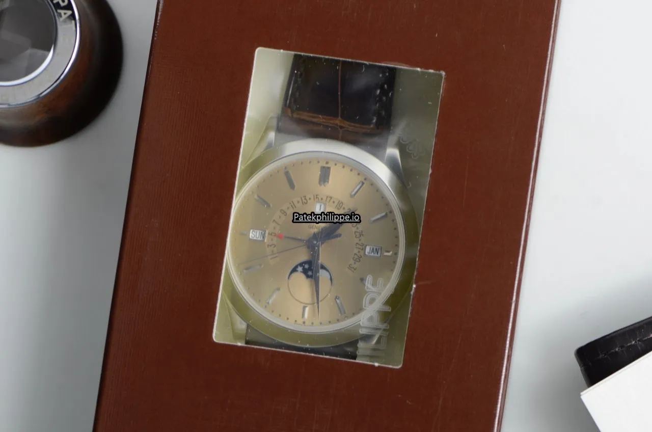 Alternative view of Patek Philippe Perpetual Calendar 5496p-014 39.5MM Platinum Case Automatic