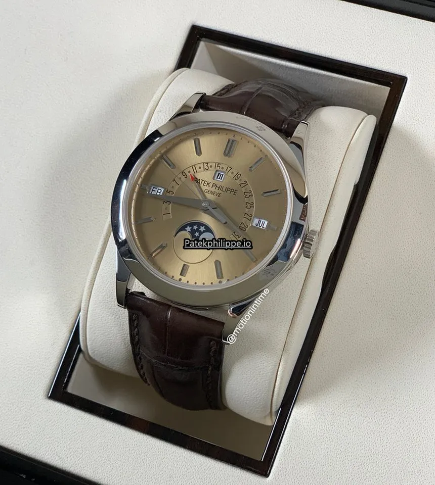 Patek Philippe Perpetual Calendar 5496p-014 39.5MM Platinum Case Automatic