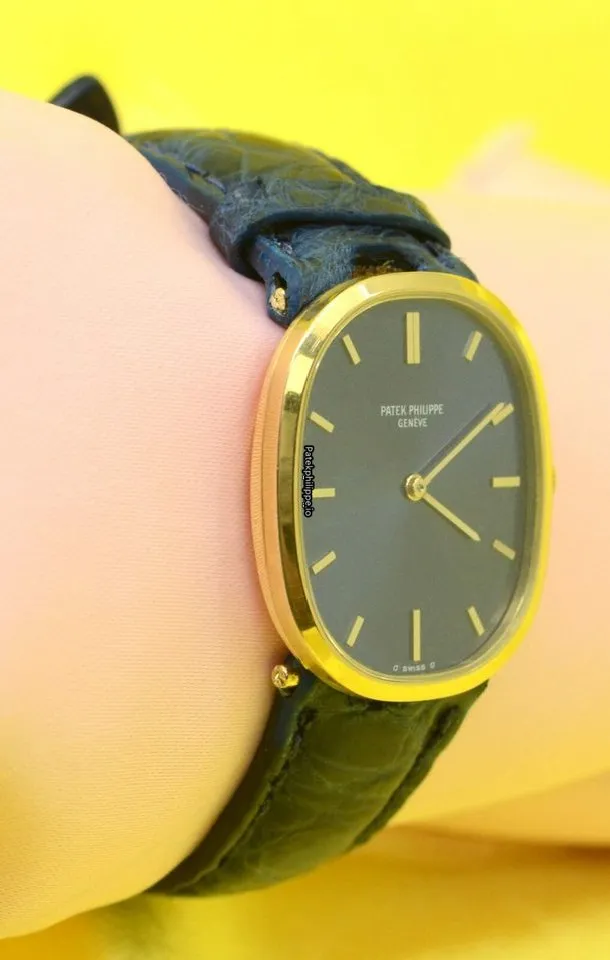 Alternative view of Patek Philippe Yellow Gold Case Manual Winding