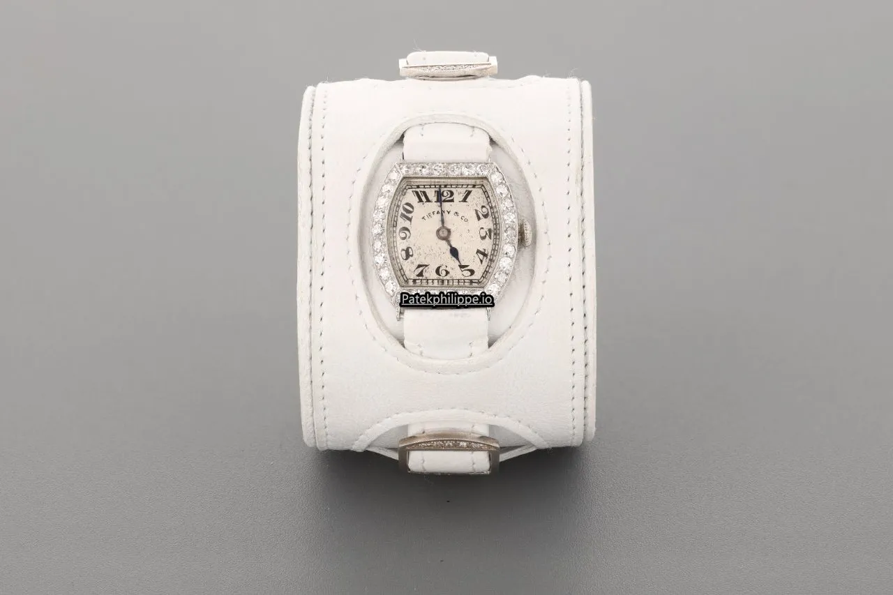 Alternative view of Patek Philippe Vintage 20MM Platinum Case Manual Winding