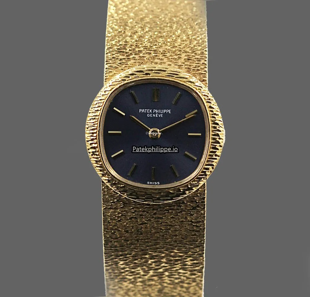 Patek Philippe Vintage Jan-21 22MM Yellow Gold Case Manual Winding