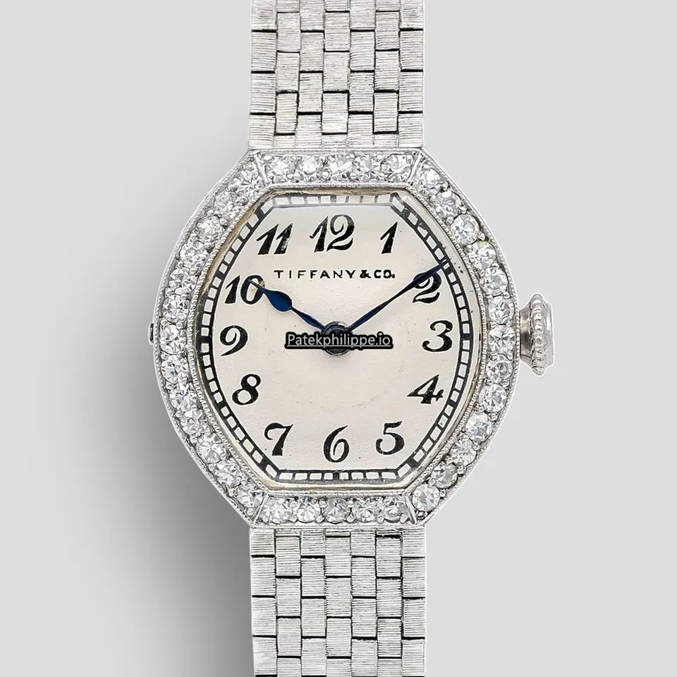 Patek Philippe Iw544501 20x21MM White Gold Case Manual Winding