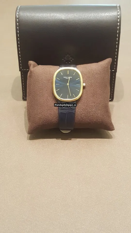 Patek Philippe Yellow Gold Case Automatic