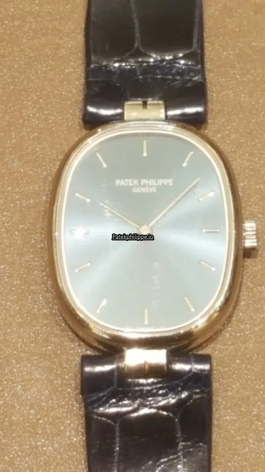 Alternative view of Patek Philippe 25x34MM White Gold Case Manual Winding