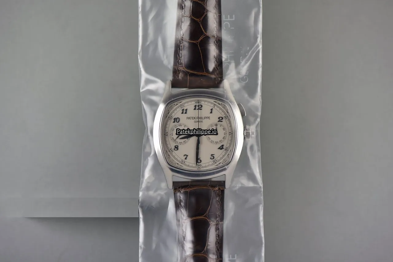 Patek Philippe Grand Complications 5950a Steel Case